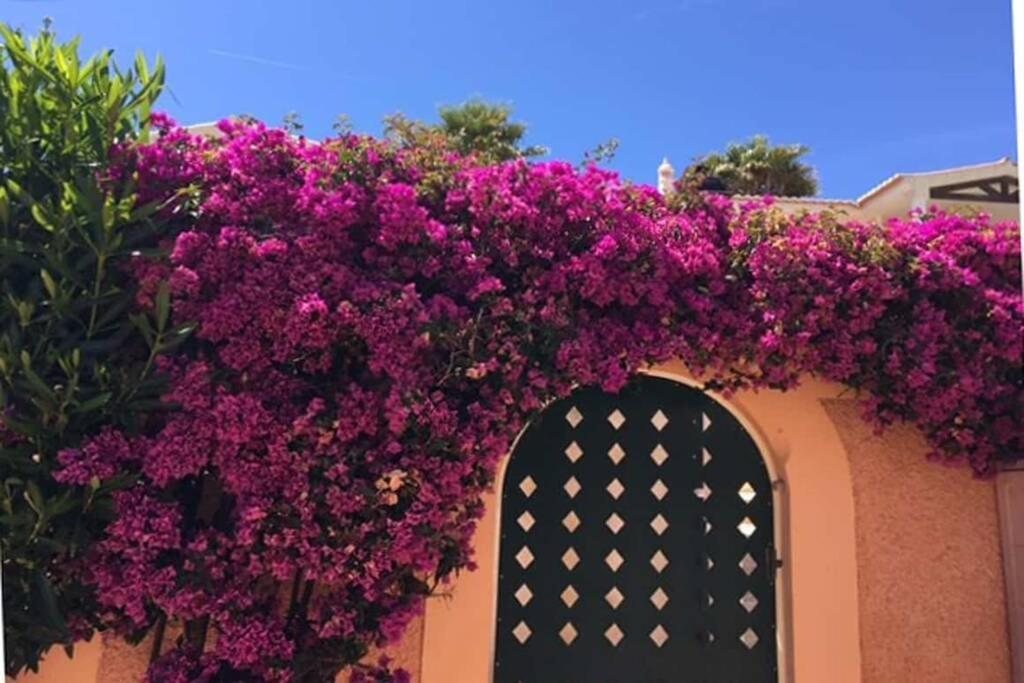 Vila Bela Nova Acacias 22 Praia Da Luz Bagian luar foto